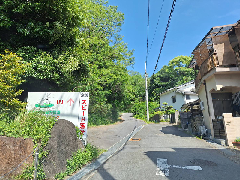 写真5