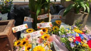大阪稲荷山動物霊園の大法要に寄せられたペットへのお供えの花